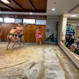 JKSKサロンレポート「湊部屋　朝稽古見学＆力士特製ちゃんこ会」 